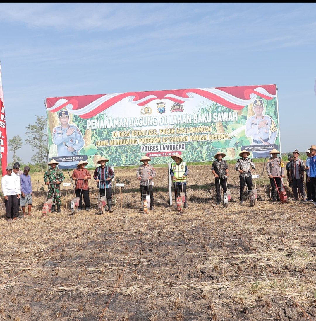 Dukung Ketahanan Pangan Nasional, Polres Lamongan Tanam Jagung di Lahan Baku