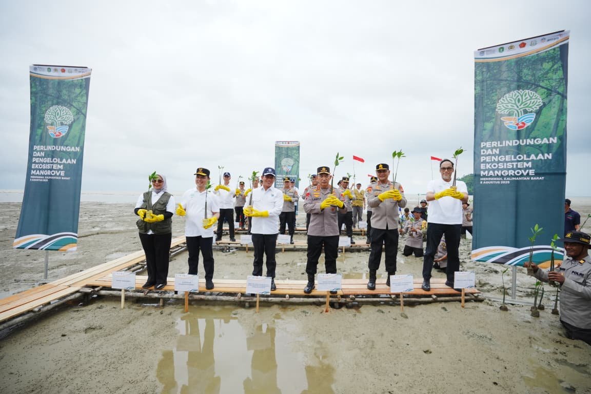 Tanam Mangrove di Kalbar, Kapolri: Jaga Lingkungan untuk Masa Depan Anak-Cucu Kita