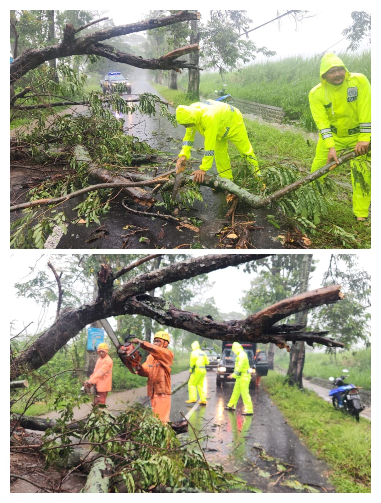 Respon Cepat Polisi dan BPBD Evakuasi Pohon Tumbang, Jalur Magetan – Bendo Kembali Lancar